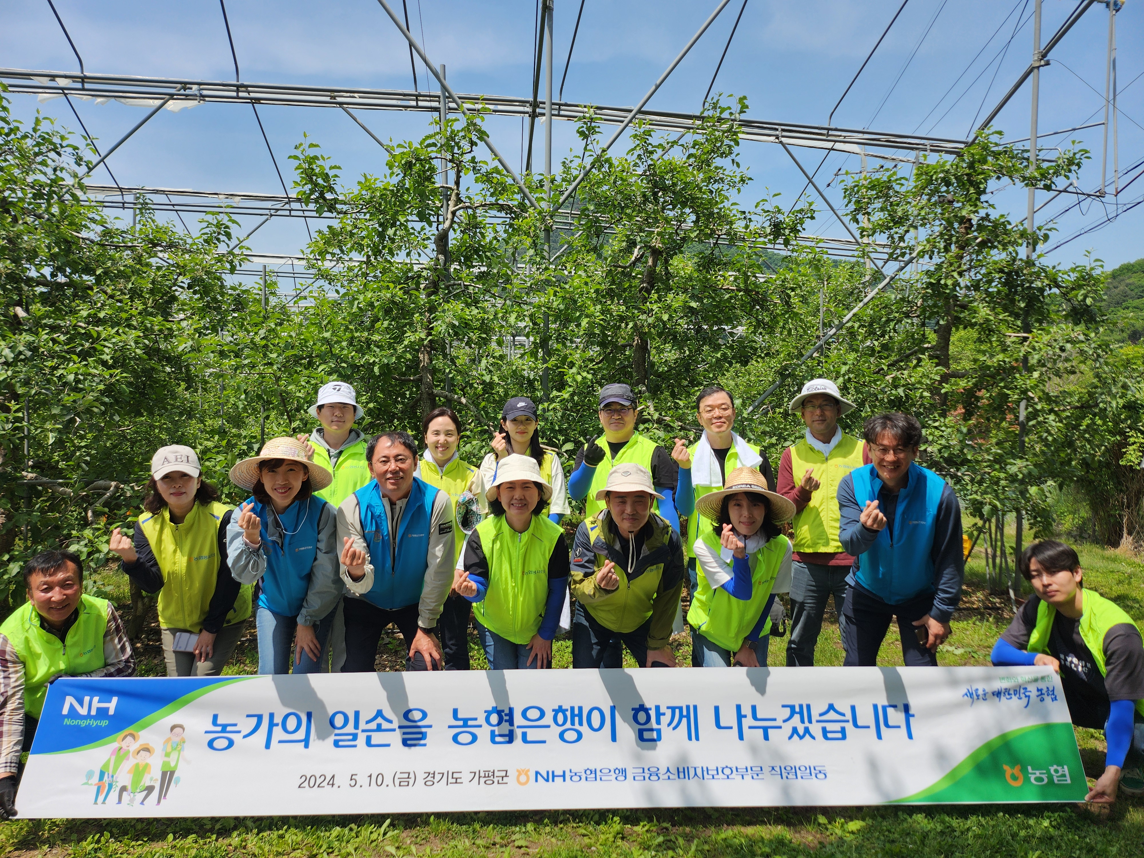 금융소비자보호부문 농가 일손돕기 